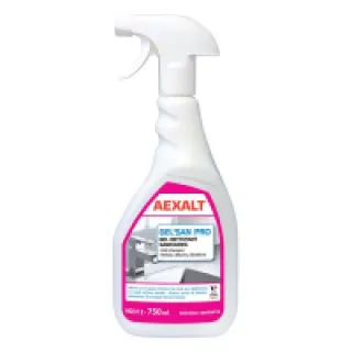 NET’SAN NV – GEL NETTOYANT SANITAIRES – 750 ML – AEXALT PROTECTION HYGIENE ET SECURITE (vendu par 6) – AEXALT – ND312 (vendu par 6)