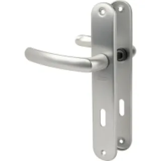 Poignée de porte intérieure – Budget – Vachette – Gris argent – Clé L – 195 mm