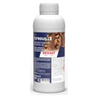 Convertisseur de rouille 1 L FIX’ ROUILLE Aexalt