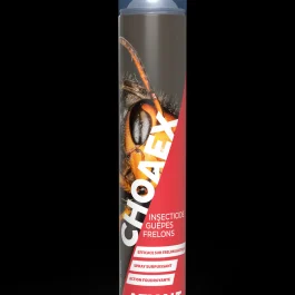 INSECTICIDE GUEPES FRELONS CHOAEX – AEXALT – IC075 (vendu par 12)