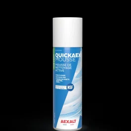 QUICKAEX MOUSSE – MOUSSE DE NETTOYAGE ACTIVE – 650 ML – AEXALT PROTECTION HYGIENE ET SECURITE (vendu par 12) – AEXALT – M900 (vendu par 12)