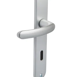 ENSEMBLE BUDGET ENTRAXE 195MM CLE L ARGENT – VACHETTE – ASSA ABLOY AUBE ANJOU S.A. – 2048563