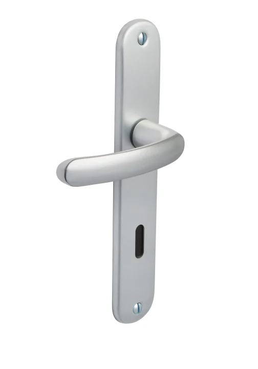 ENSEMBLE BUDGET ENTRAXE 195MM CLE L ARGENT - VACHETTE - ASSA ABLOY AUBE ANJOU S.A. - 2048563