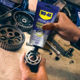 GRAISSE HAUTE PERFORMANCE WD40 SPECIALIST (TUBE 150GR) – WD 40 COMPANY LTD – 331075 (vendu par 12)