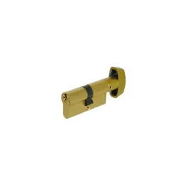 CYL DOUBLE TE5 30X30 LAITON A BOUTON 503B3030L – TESA ASSA ABLOY – 503B3030L