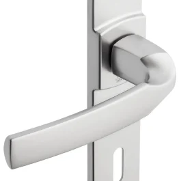 ENSEMBLE MUZE SUR PLAQUE ENTRAXE 165 MM CHROME VELOURS CONDA – VACHETTE – ASSA ABLOY AUBE ANJOU S.A. – 0865155